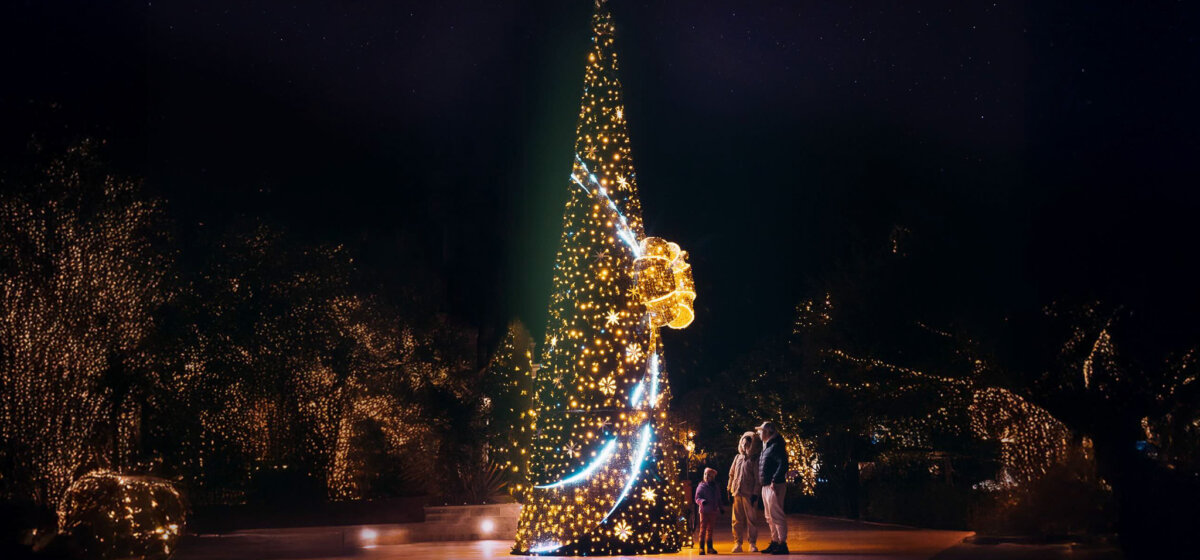 Luštica Bay: Mediteranska kulisa prazničnih događaja