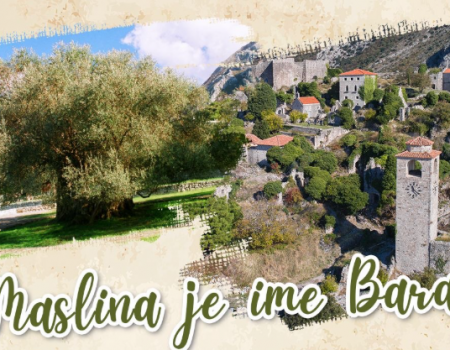 Maslinijada u Starom Baru od 12-14. decembra