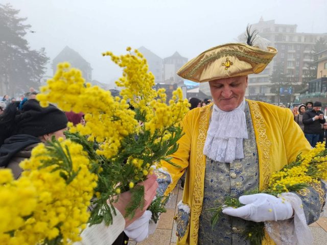Mimoza je zamirisala Zlatiborom