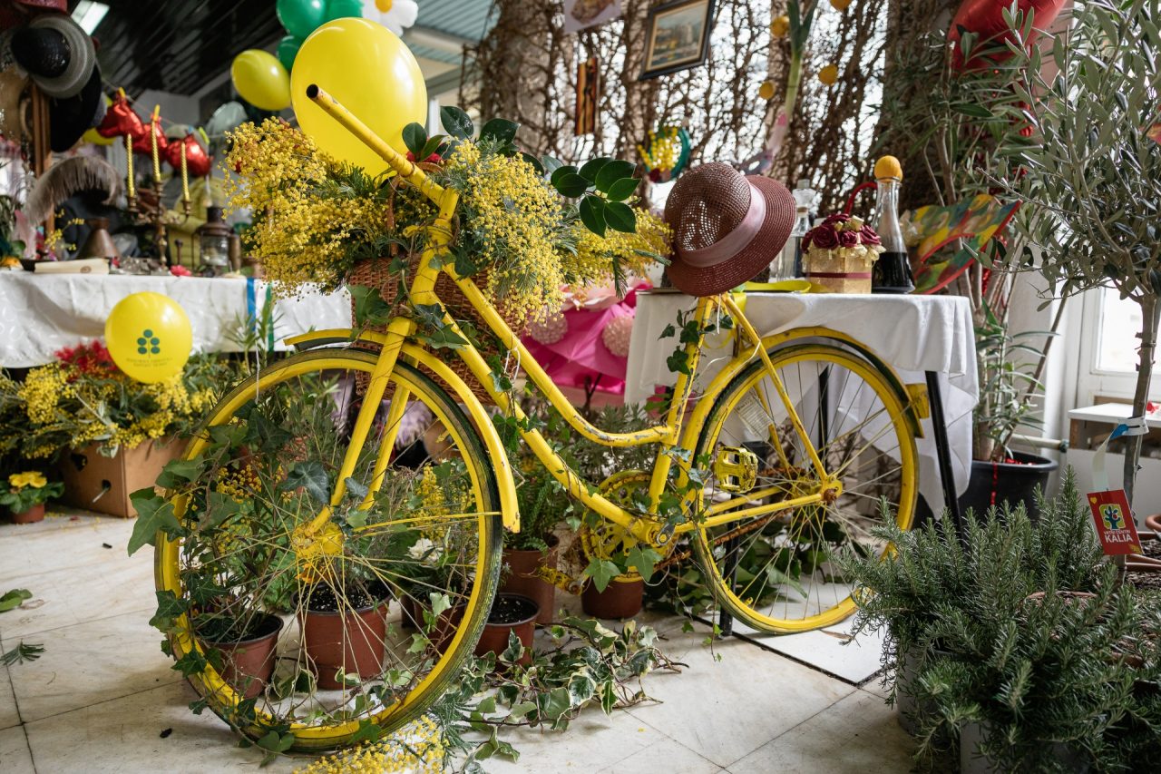 Mimoza u ruci, ljubav u srcu: Otvorena tradicionalna Izložba cvijeća