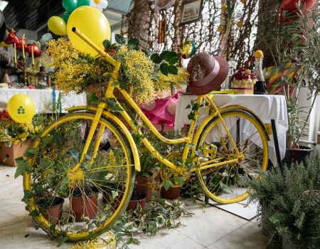 Mimoza u ruci, ljubav u srcu: Otvorena tradicionalna Izložba cvijeća