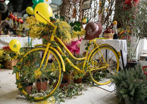 Mimoza u ruci, ljubav u srcu: Otvorena tradicionalna Izložba cvijeća