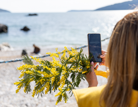 Svečana završnica 57. Praznika mimoze 28. februara