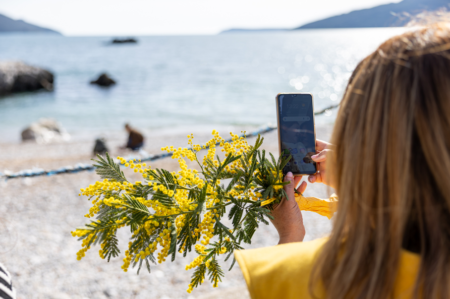 Svečana završnica 57. Praznika mimoze 28. februara
