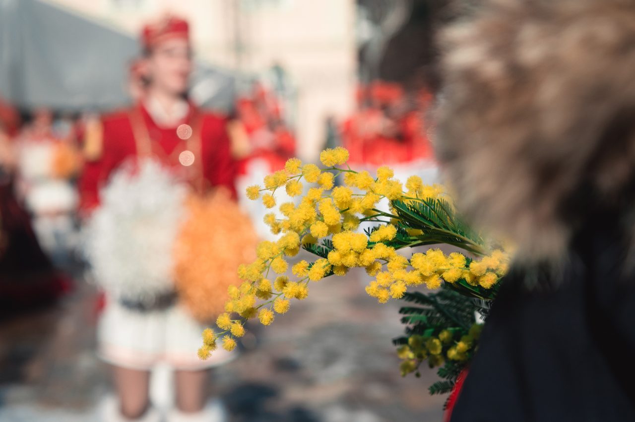 Zašto ne treba da propustite feštu mimoze na Orjenu?