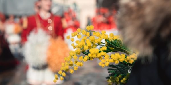 Zašto ne treba da propustite feštu mimoze na Orjenu?