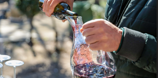 Festivala vina i ukljeve u znaku tradicije i očuvanja Skadarskog jezera