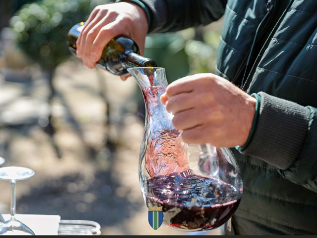 Festivala vina i ukljeve u znaku tradicije i očuvanja Skadarskog jezera