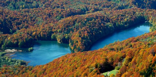 Biogradska gora od 16. marta otvorena za posjete