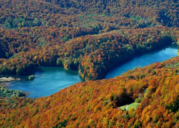 Biogradska gora od 16. marta otvorena za posjete