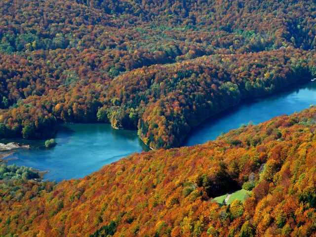 Biogradska gora od 16. marta otvorena za posjete
