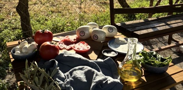 Highland Canyon ukusi: Razlog više da se okupimo