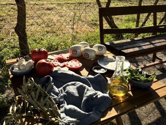 Highland Canyon ukusi: Razlog više da se okupimo