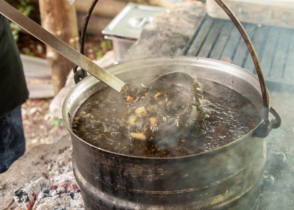 Dan koprive 12. juna – prilika da se povežemo sa prirodom i tradicijom Lovćena