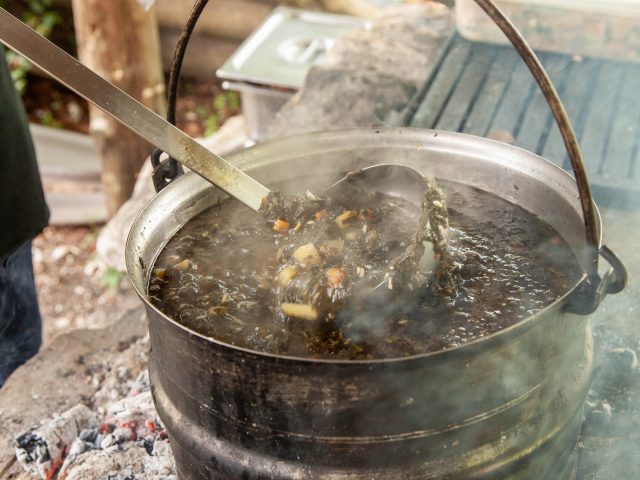 Dan koprive 12. juna – prilika da se povežemo sa prirodom i tradicijom Lovćena