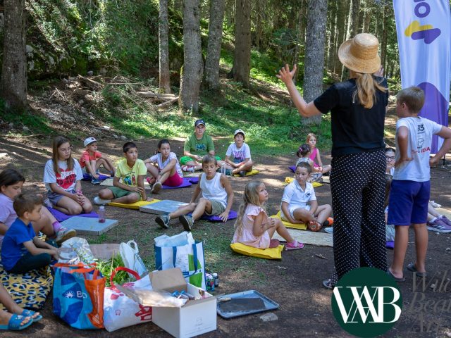 Šta nam ovog vikenda donosi Wild Beauty Art na Žabljaku?