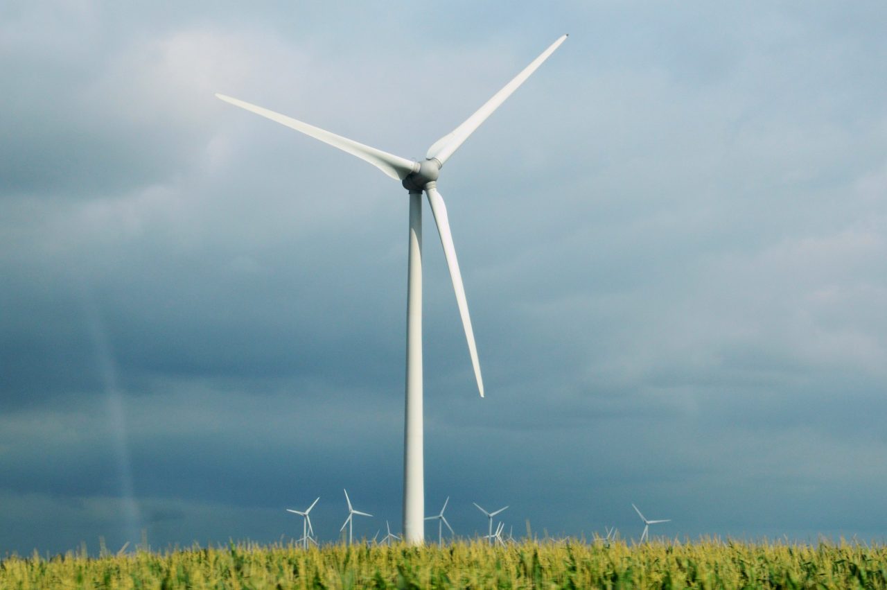 Mala zemlja, velika energetska šansa: Može li zelena energija postati nova razvojna prilika Crne Gore?