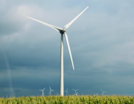 Mala zemlja, velika energetska šansa: Može li zelena energija postati nova razvojna prilika Crne Gore?