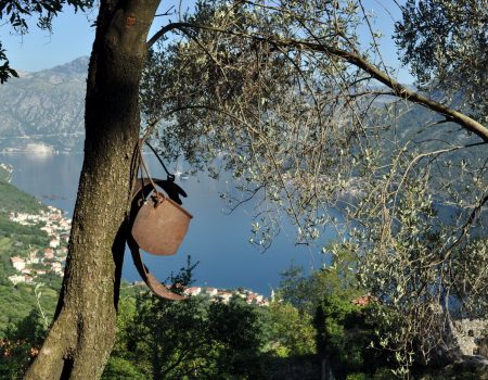Evropska nedjelja mobilnosti počinje pješačkom turom do Gornjeg Stoliva