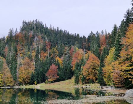 Jesenji san na 1477 metara: Zabojsko jezero, gorski biser koji morate posjetiti