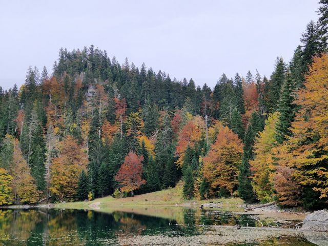 Jesenji san na 1477 metara: Zabojsko jezero, gorski biser koji morate posjetiti